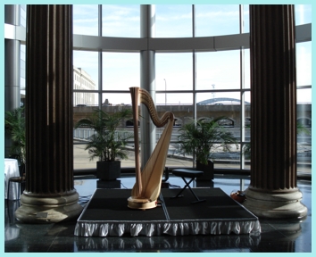Pedal harp at event